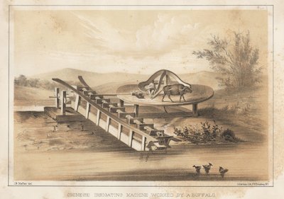 Chinese Irrigation Machine Worked by a Buffalo by Meffert